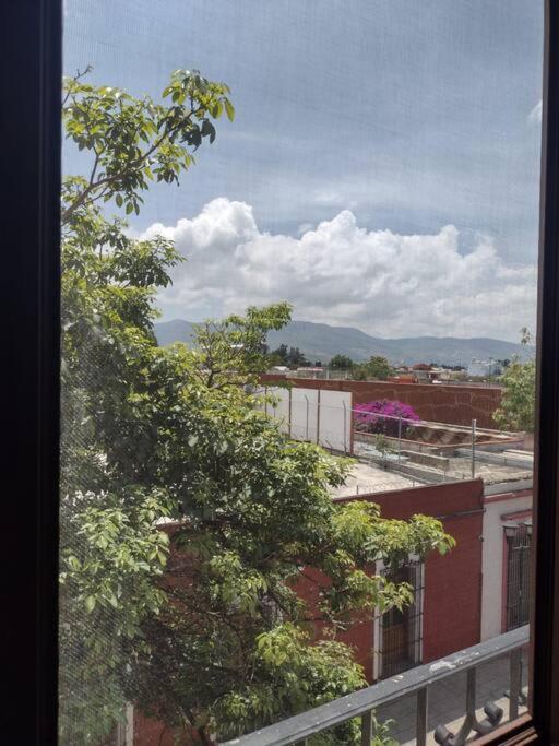 M1010 Agradable Departamento Centrico En Oaxaca Apartment Екстериор снимка
